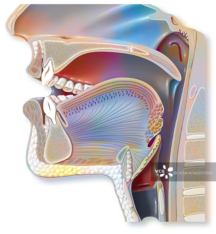 发声绘画图片素材