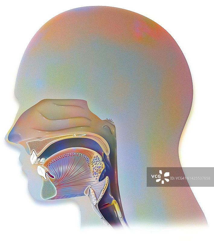 呼吸绘画图片素材