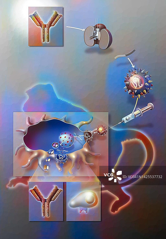 艾滋病研究图片素材