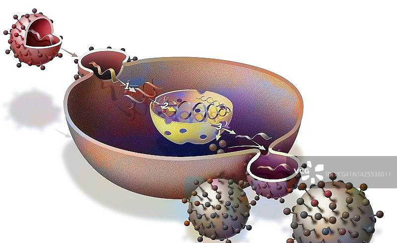 治疗辅助图片素材