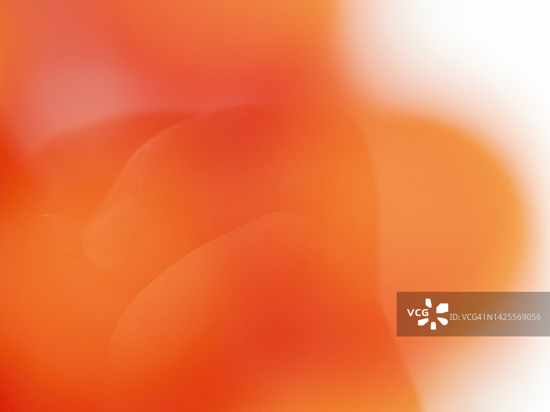 抽象红色图案背景图片素材