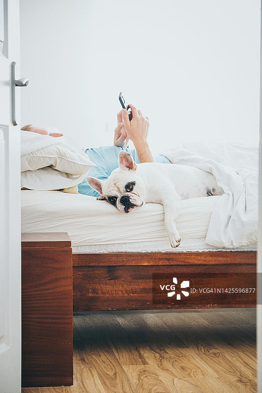 小狗在床上睡觉，男人在旁边使用智能手机图片素材