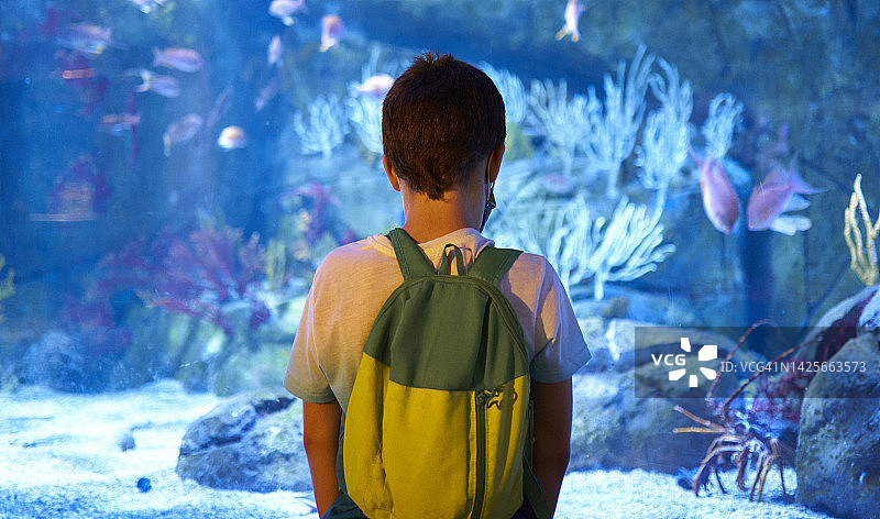 穿白色T恤的男孩戴着绿色和黄色背包面具，通过镜子看着鱼和礁石图片素材