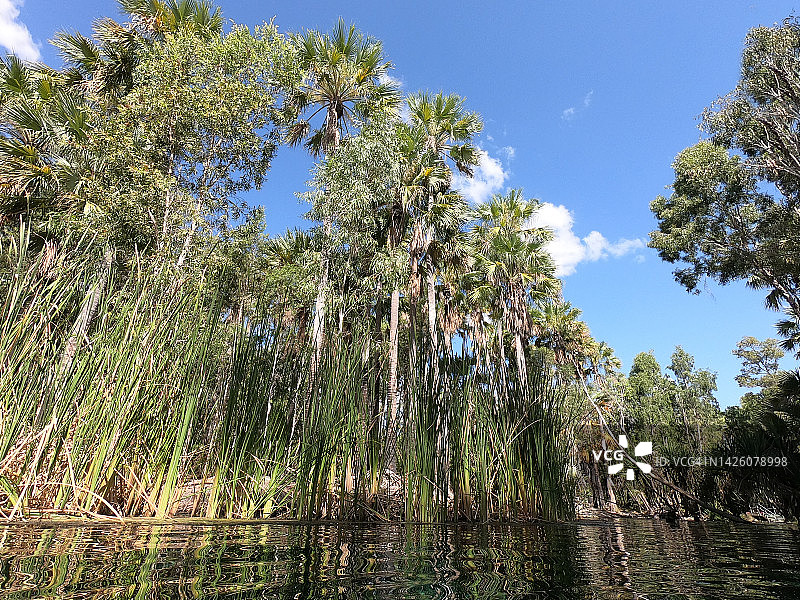 澳大利亚北领地苦泉温泉图片素材