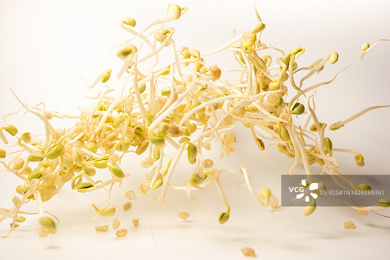 飞翔的黄豆芽图片素材