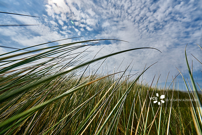 英国诺福克郡伯纳姆奥弗里斯特赛斯图片素材