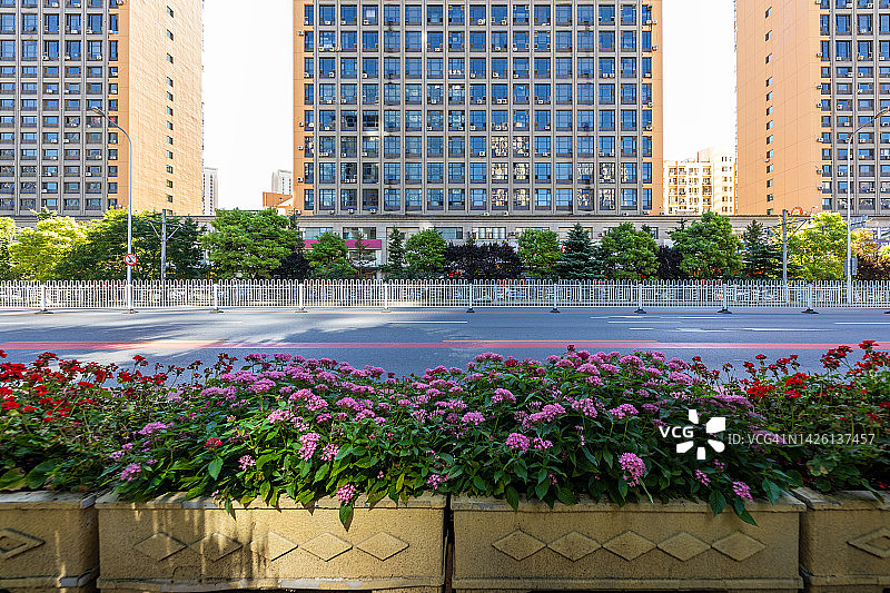 城市绿化后的街道环境图片素材