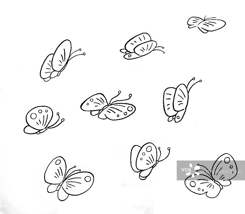蝴蝶图案绘画插画图片素材