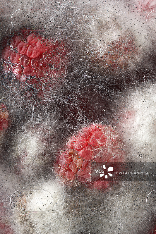 发霉的旧覆盆子图片素材