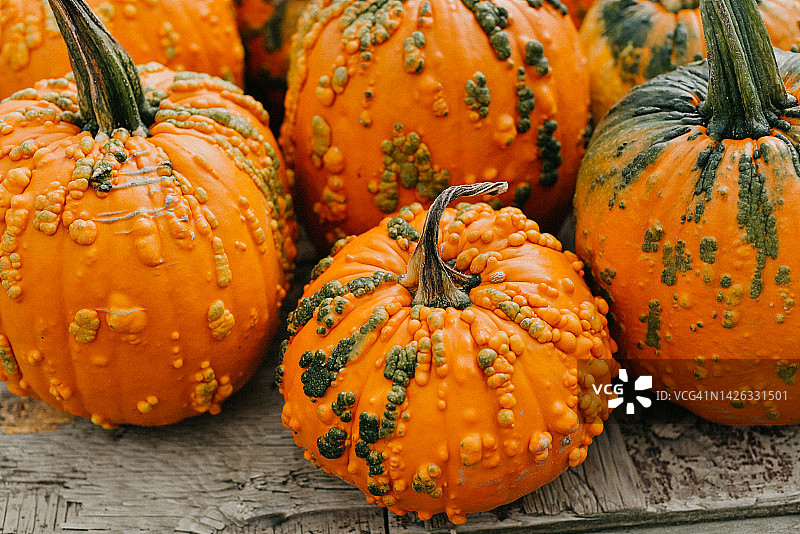 木桌上的南瓜图片素材