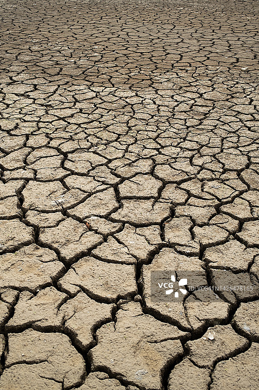 干涸湖床上龟裂的土地图片素材