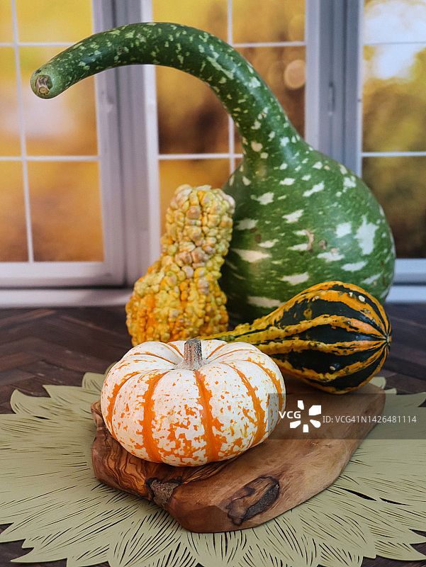 秋季的葫芦图片素材