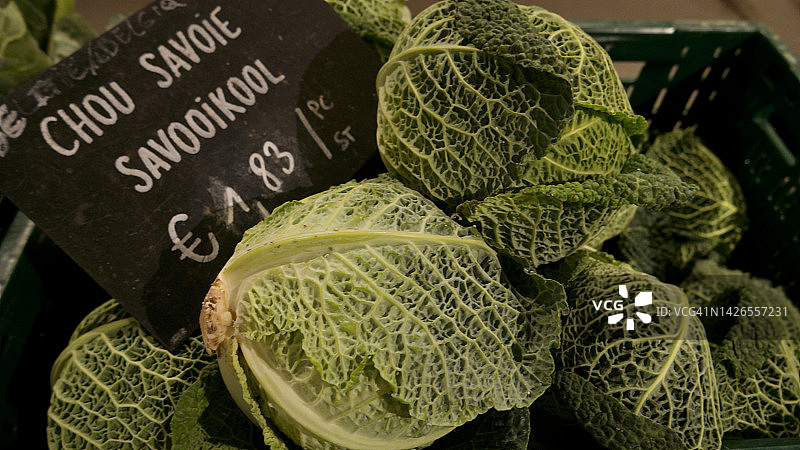 皱叶甘蓝图片素材