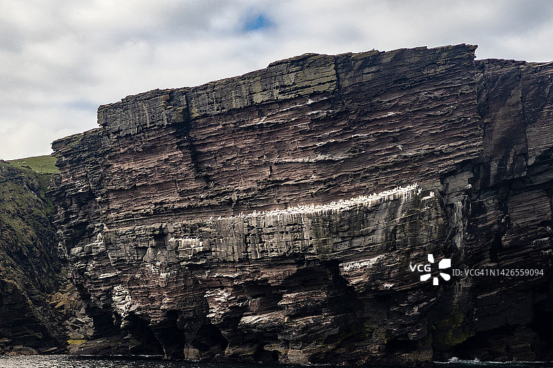 诺斯岛，设得兰群岛，苏格兰，英国图片素材