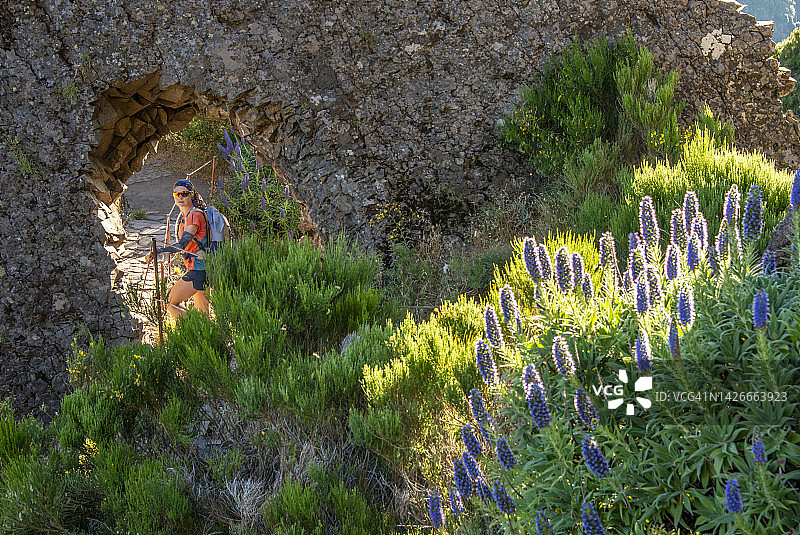 徒步旅行者在马德拉岛进行从Pico Arieiro到Pico Ruivo的徒步旅行图片素材