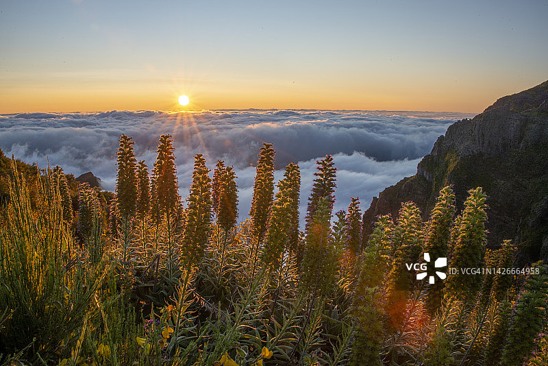 云雾中马德拉岛亚里埃鲁峰顶风光图片素材