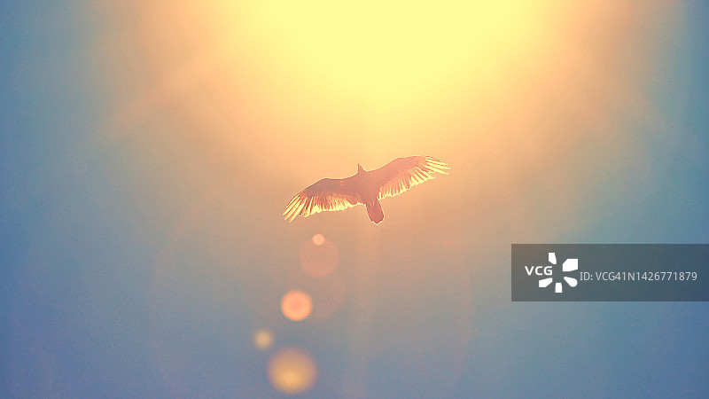 照亮表演图片素材