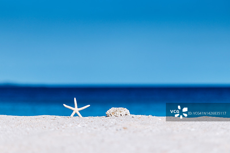 普吉岛热带海滩星鱼，白色沙滩图片素材