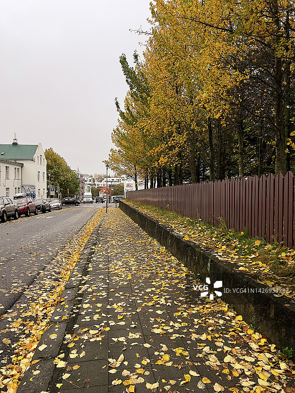 雷克雅未克城市街道的秋色图片素材