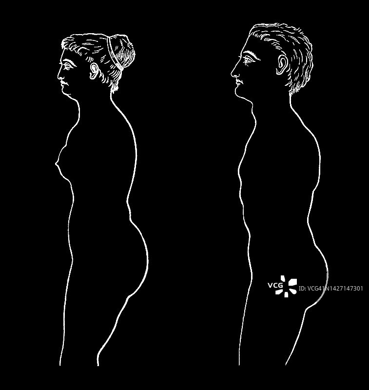 男女体型轮廓古老雕刻插图图片素材