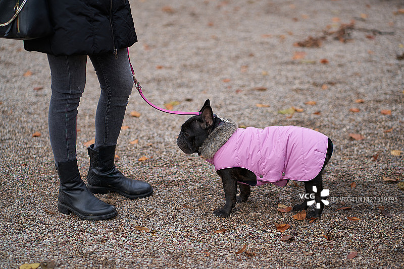 穿着护腿和夹克，穿着冬靴的少女带着宠物在公园里散步图片素材
