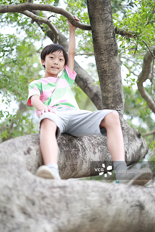 男孩爬树图片素材