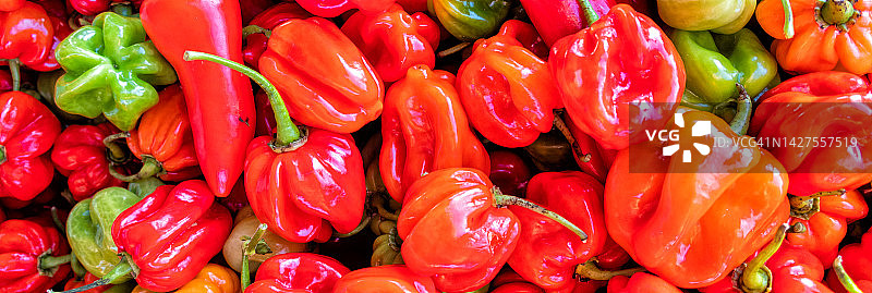 红甜椒banner背景图图片素材