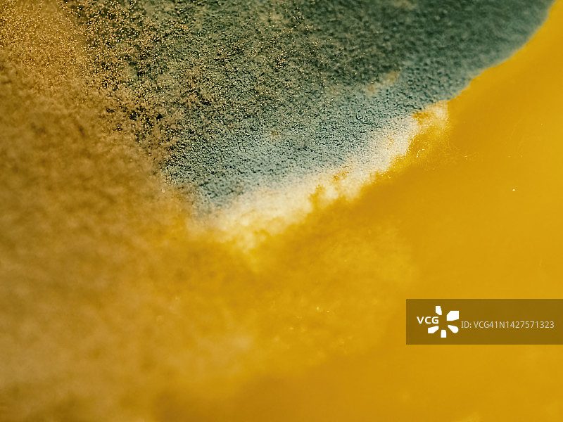 食物表面产生的霉菌形成抽象图案的微距照片图片素材