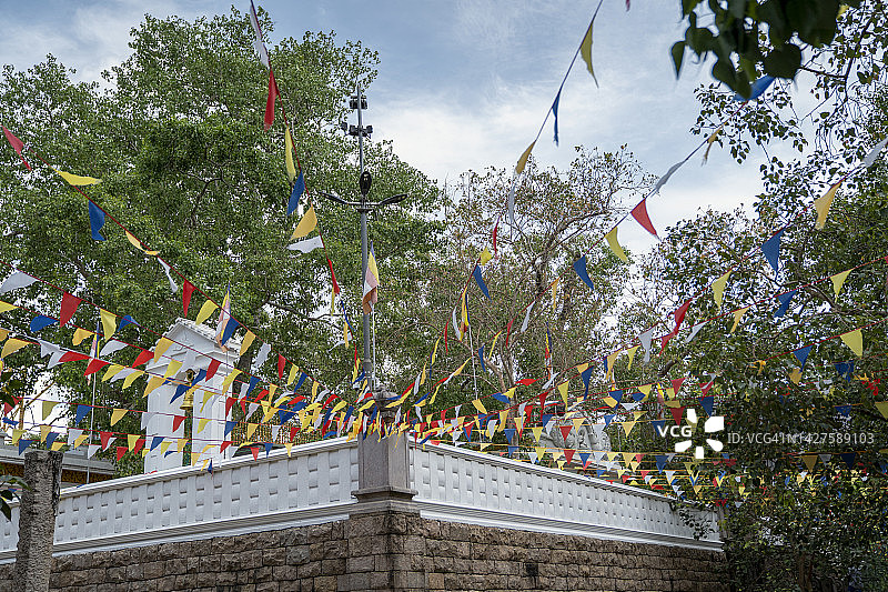科伦坡冈嘎拉马寺的菩提树，斯里兰卡首都图片素材