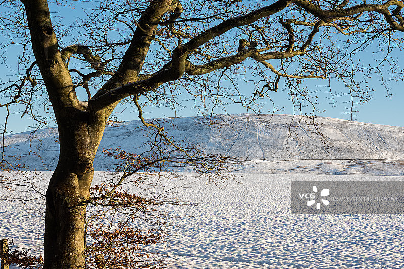 爱丁堡奔特兰山区域公园雪山景色图片素材