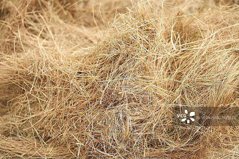 马饲料用黄色干草，带复制空间的稻草背景。动物饲料用干草。图片素材