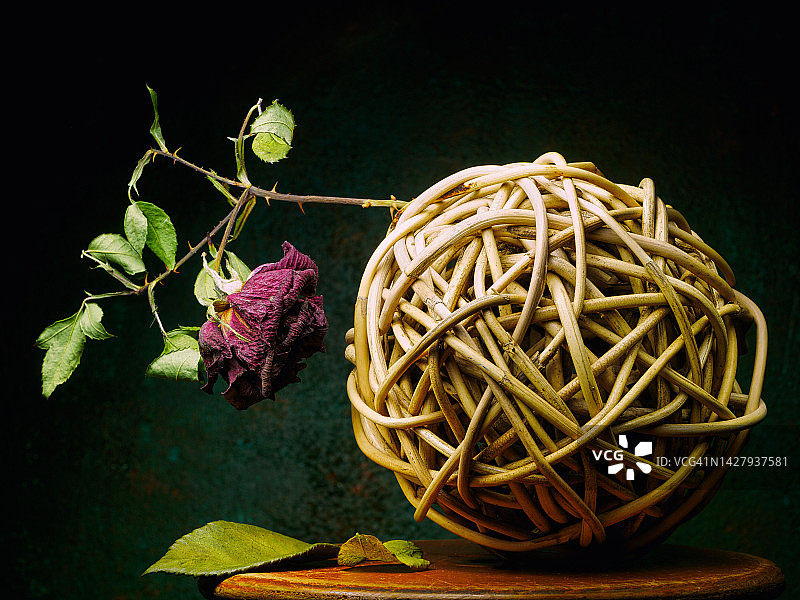 干玫瑰和木球静物图片素材