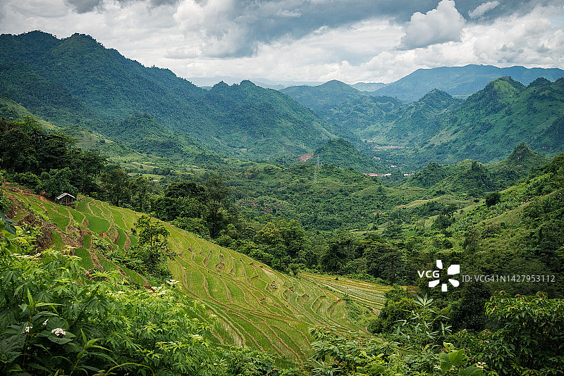 越南北部的山脉和稻田图片素材