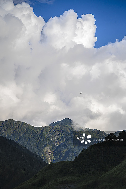 合欢山夏季蓝天白云风光，远处山峰为奇莱主峰图片素材