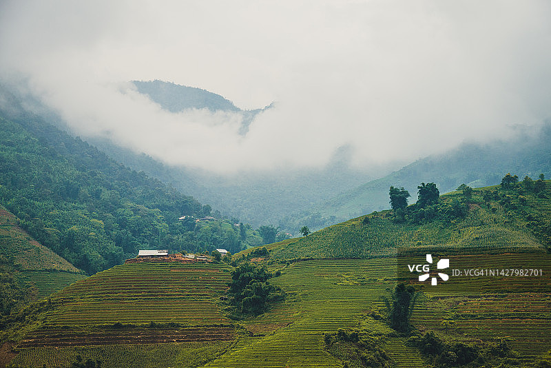 越南北部山区梯田图片素材