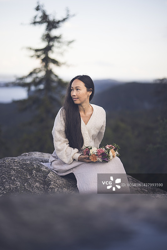 芬兰科利山的壮丽景色图片素材