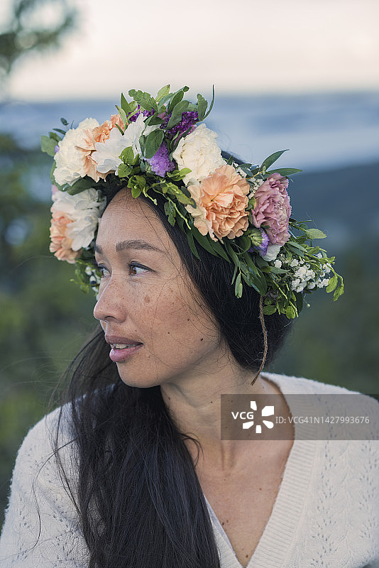 芬兰科利山的壮丽景色图片素材