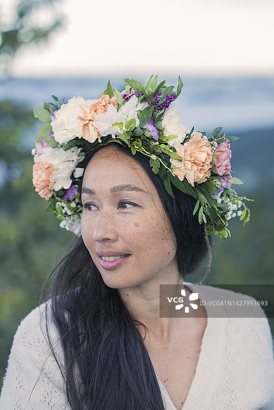 芬兰科利山的壮丽景色图片素材