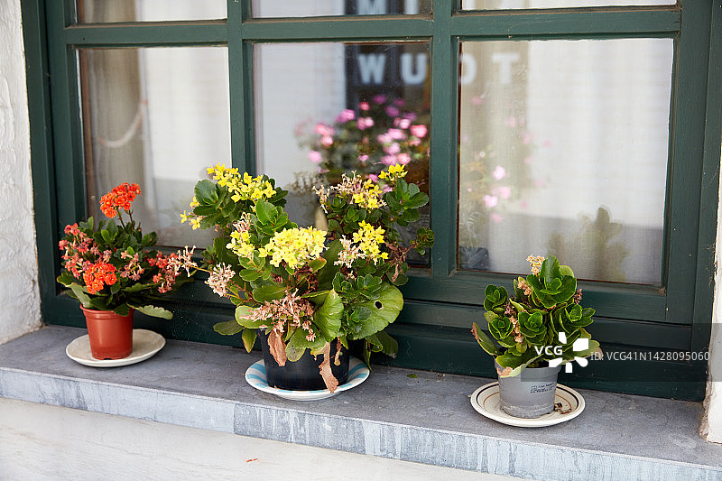 窗户上的鲜花图片素材