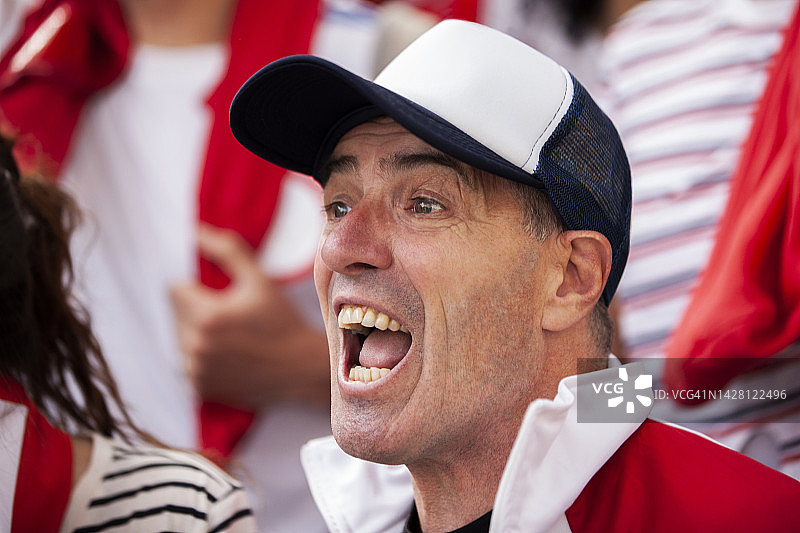 激动的足球迷为国家队欢呼图片素材