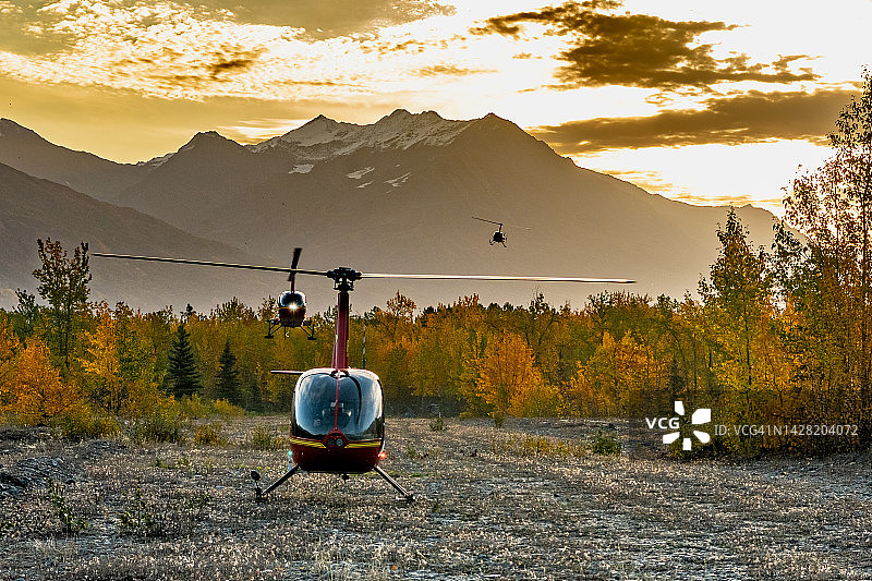 阿拉斯加山区黎明时分降落的三架红色直升机图片素材