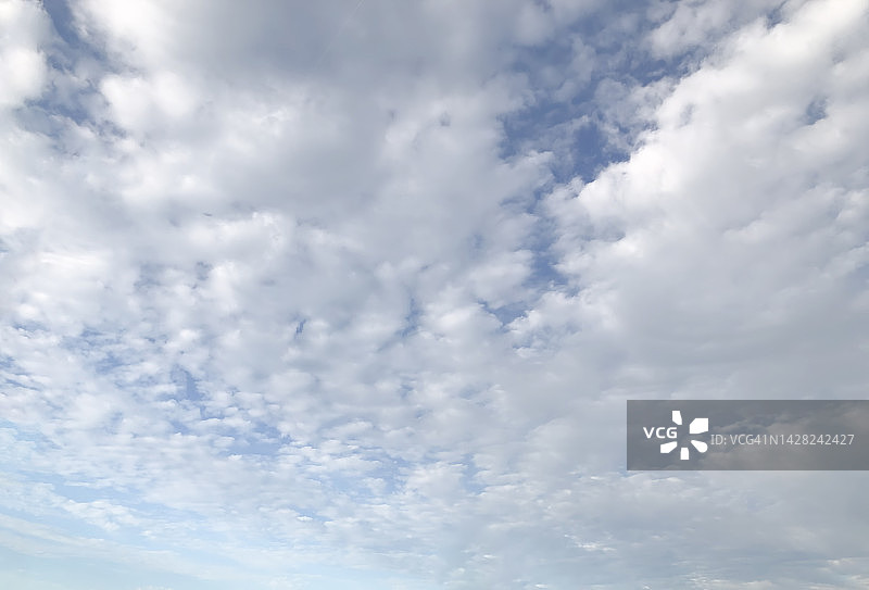 阴天的低角度视图图片素材