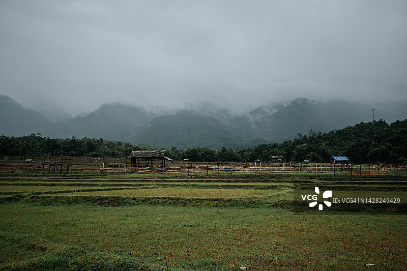 雨季中雾气缭绕的稻田山景图片素材