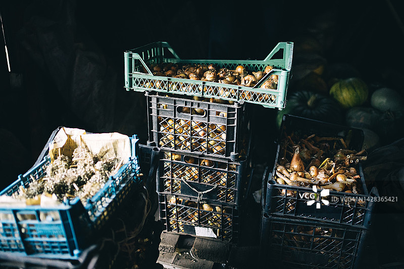 篮子里的收获蔬菜图片素材