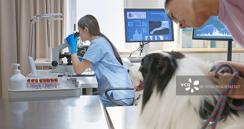 兽医检查显微镜图片素材