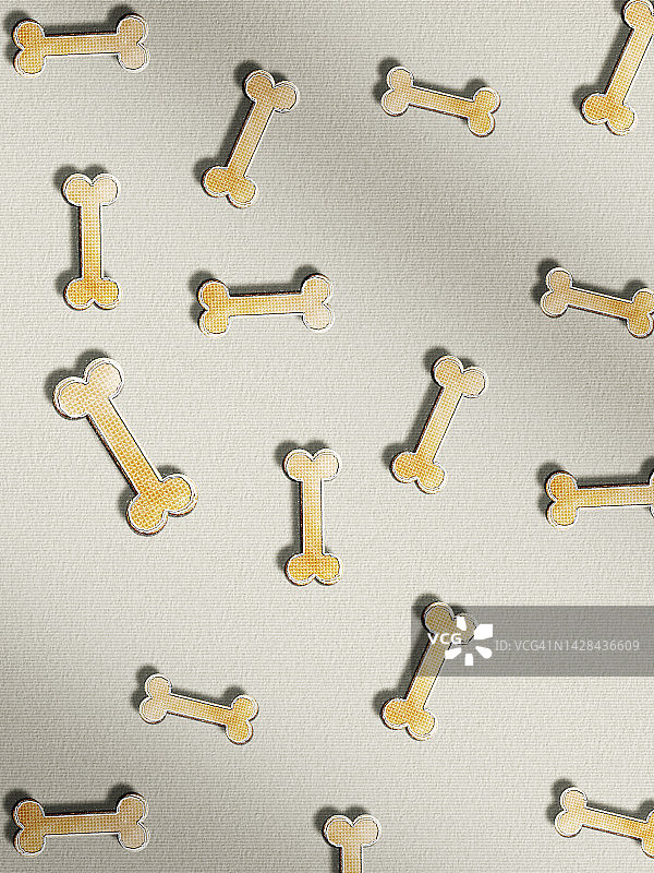 中性背景下带有阴影的宠物饼干图片素材