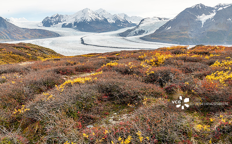 克尼克冰川与彩色苔原景观图片素材