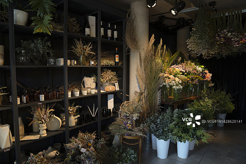 干花室内装饰店图片素材