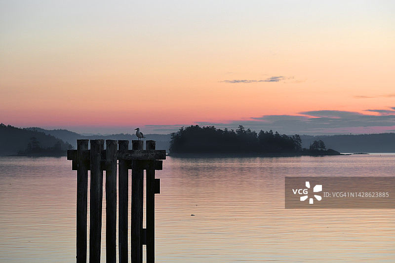 寂静之声图片素材