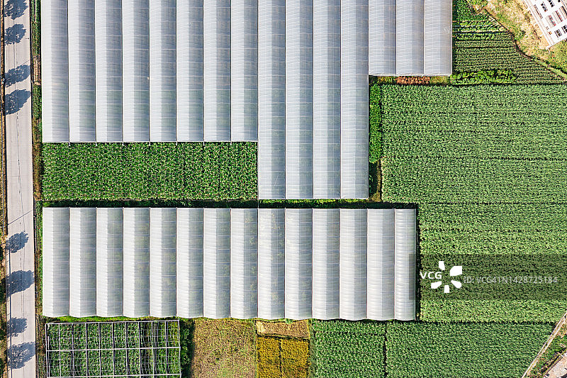 玉米田航拍图片素材